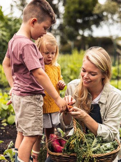 familie, gartenarbeit, kinder, ernte, draußen, familienzeit